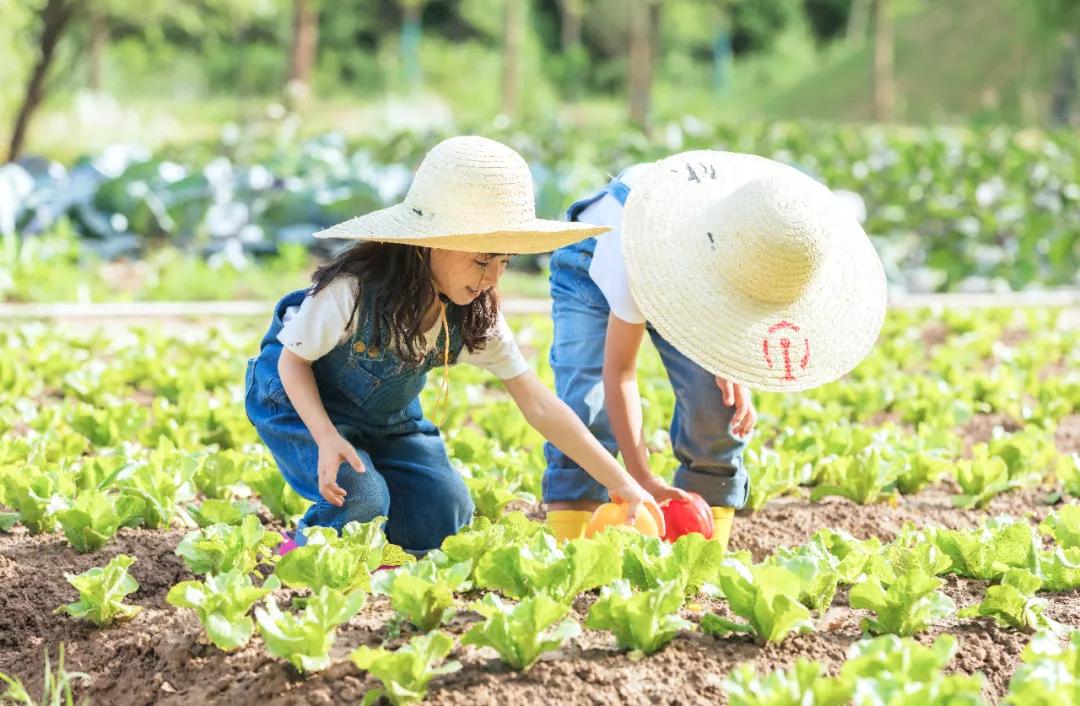 你不爱学习父母怎么办,你不爱学习有人帮你学习