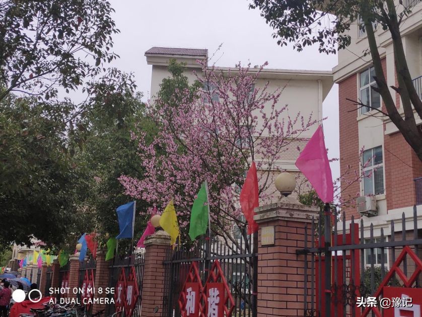 鏁呬埂鑺卞紑姝屾洸,鏁呬埂鑺卞紑姝屾洸鍘熷敱瀹屾暣