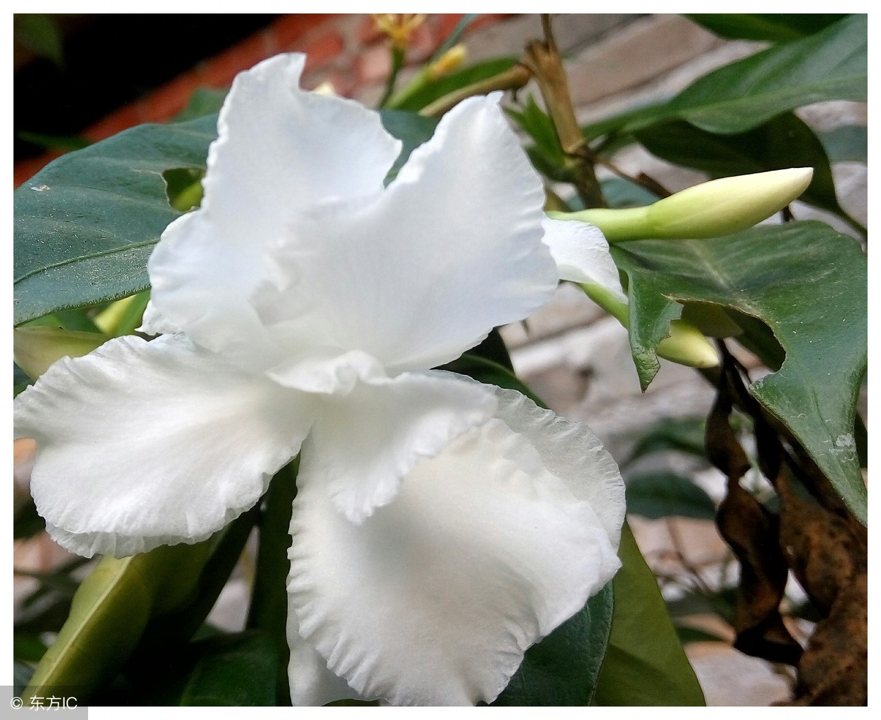 怎样做一名优秀的足疗技师,怎样做一个优秀足疗技师