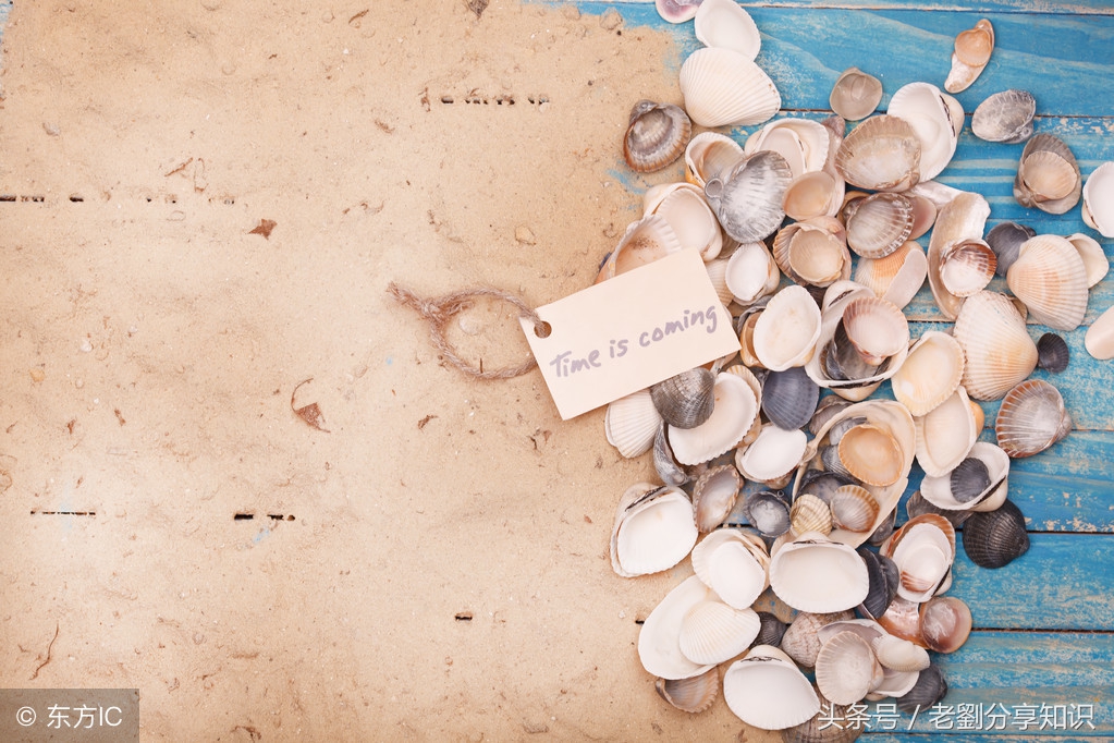 部编版九年级语文上册期末复习,人教版九年级语文上册期末知识点