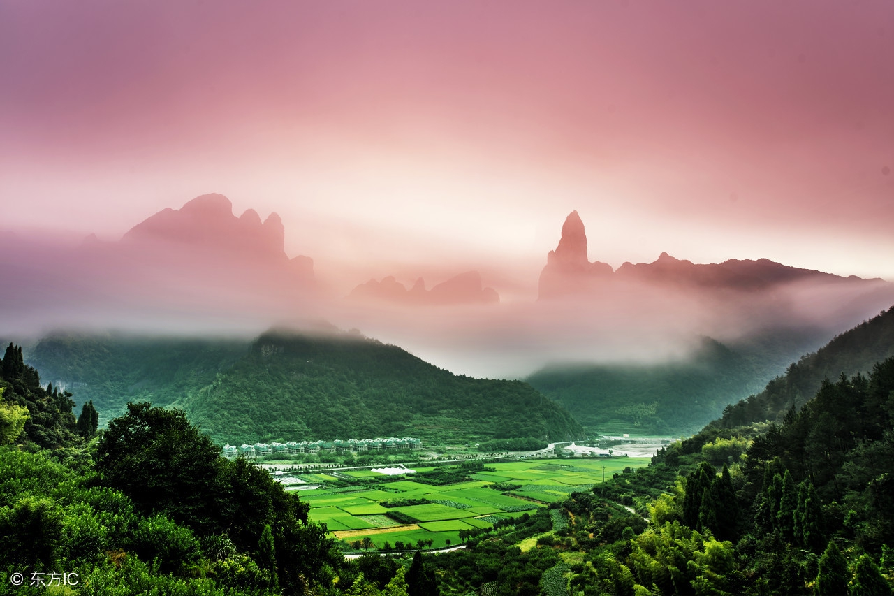 武夷山第一昆虫营地,武夷山森林公园昆虫研学一日游