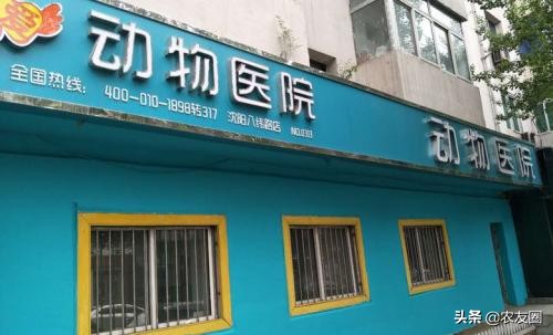 厦门申请动物诊疗许可证,申请动物诊疗许可证