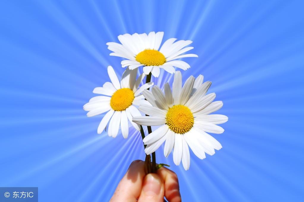 记住这七条会受益一生,记住这八条让你越来越优秀