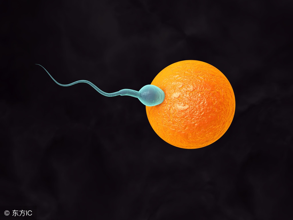 为什么有的人怀孕了三次都保不住,为什么有些人怀孕了3个月才发现