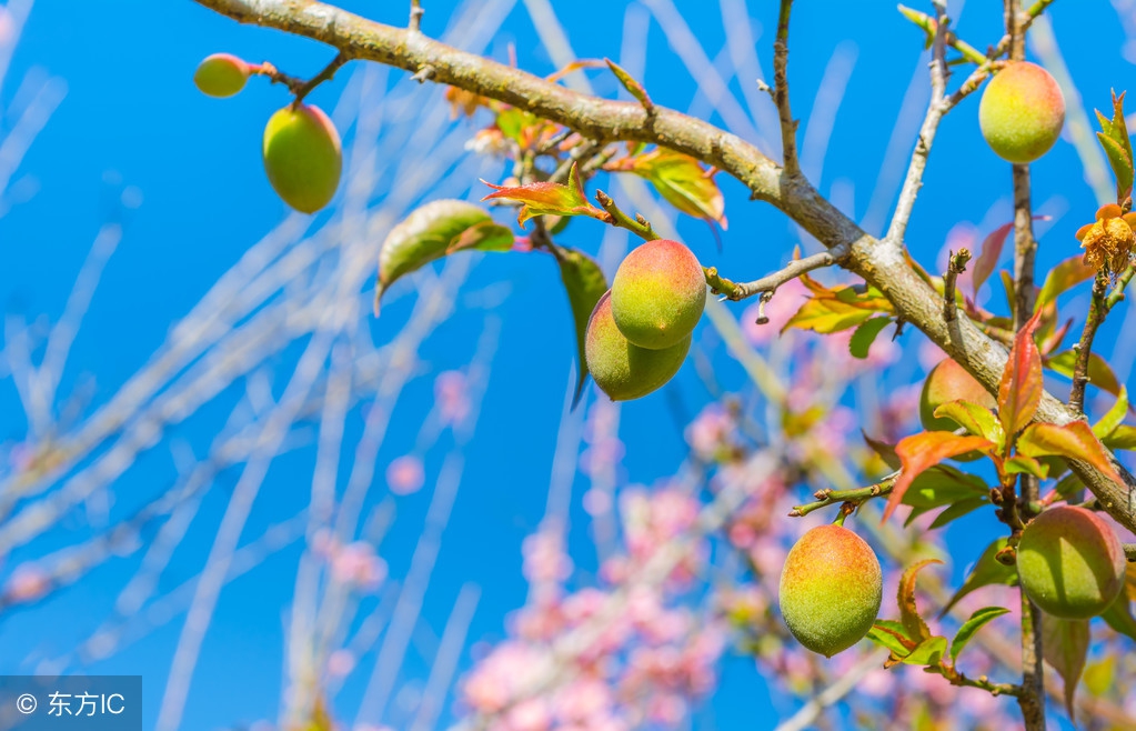 日本间谍入狱,日本间谍越狱真实案件
