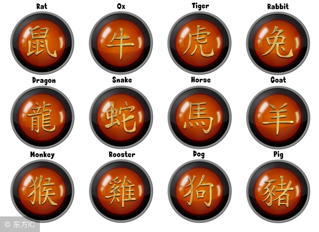 2019年十二生肖运势详解,2019年十二生肖每月运势详情