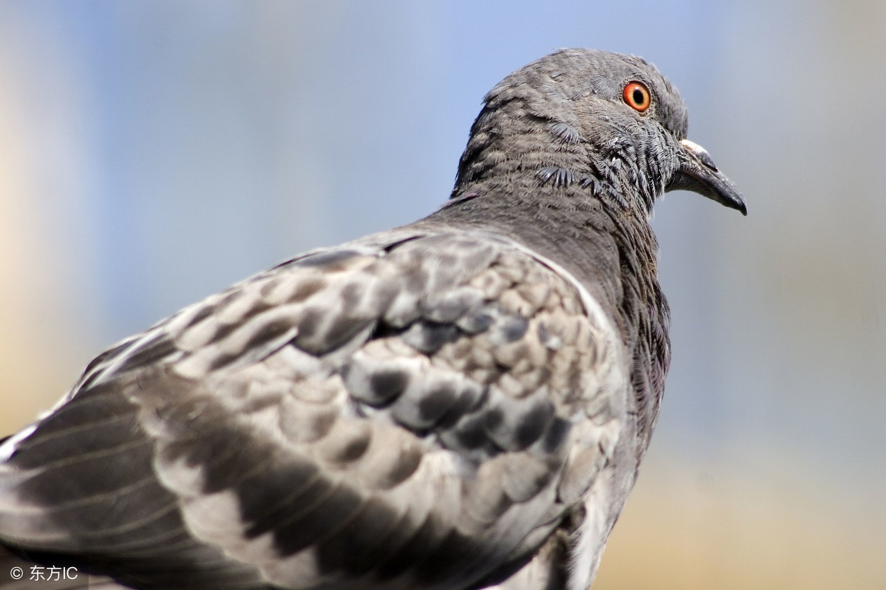 89个电气技术重点问题精选，不容错过！