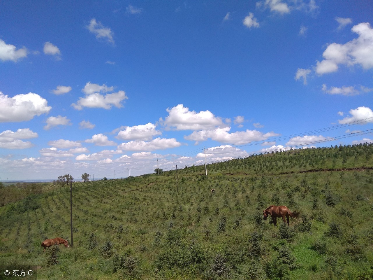 89个电气技术重点问题精选，不容错过！