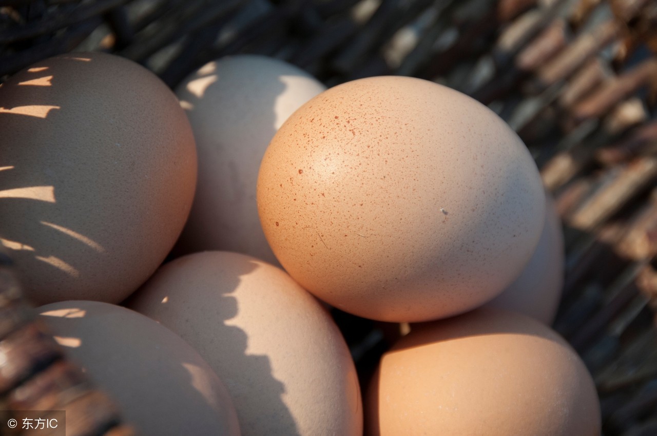 各种细菌感染用什么药,各种细菌对应疾病口诀