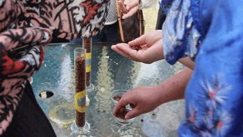 单身汪的逆袭,单身汪实力