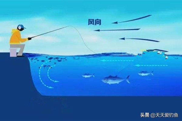 解析刮风对钓鱼的影响，什么风向鱼好钓，一看就知道