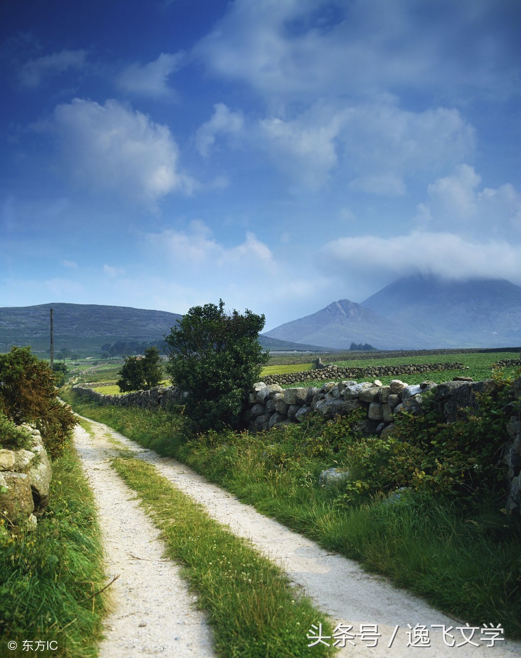 「小说」我的遥远的大市川