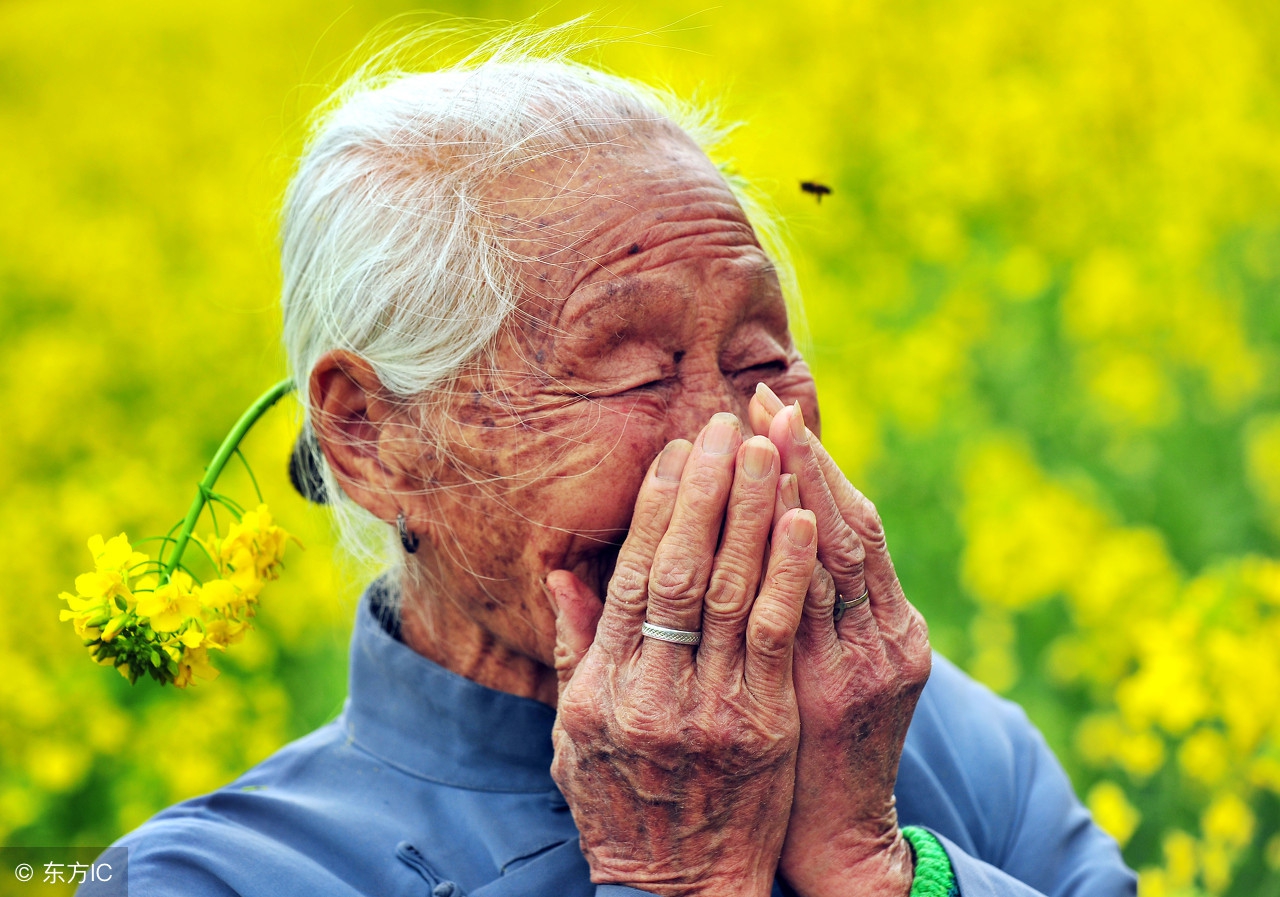 老太太买苹果被骗后续,老太太销售苹果的故事