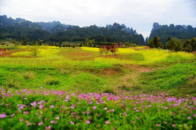 仙境张家界胜地武陵源,仙境张家界