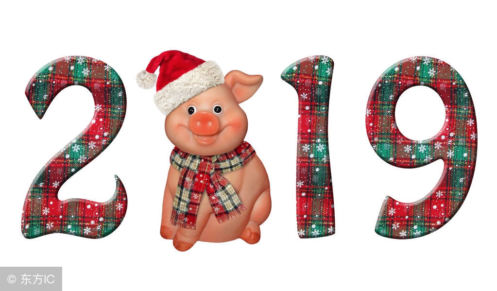 咔嚓崔老师2018总结：成不了葱，装蒜也不行！