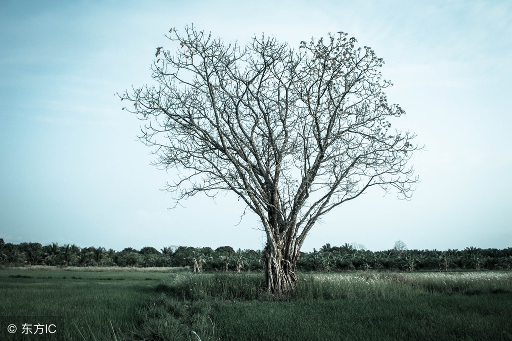 世上真的没有感同身受只有自己懂,在世上没有感同身受只有冷暖自知