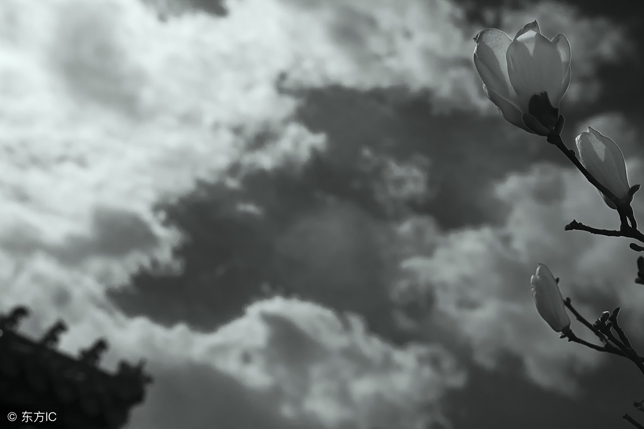 不停怀念故人怎么办,不停怀念从前