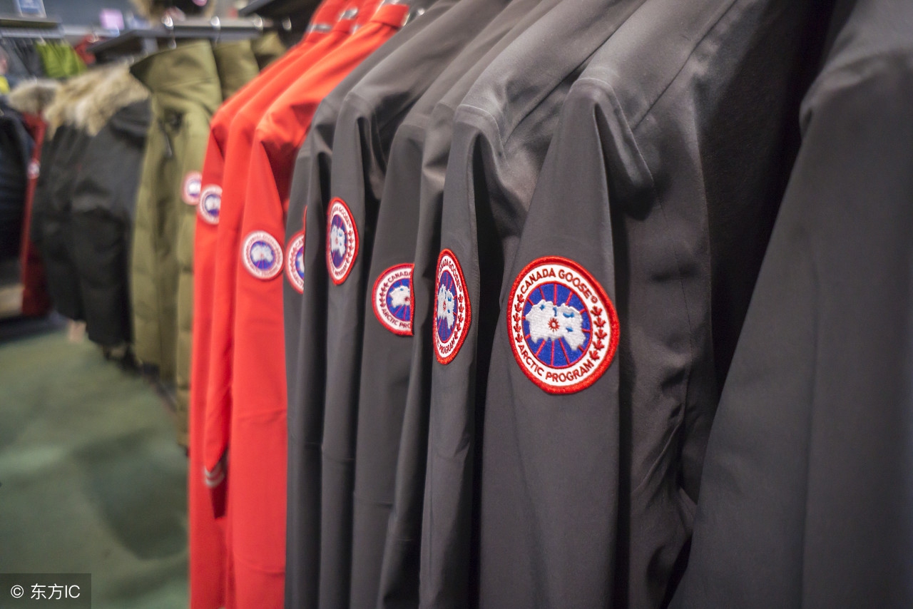 加拿大鹅抢购视频,加拿大鹅为什么那么多人买