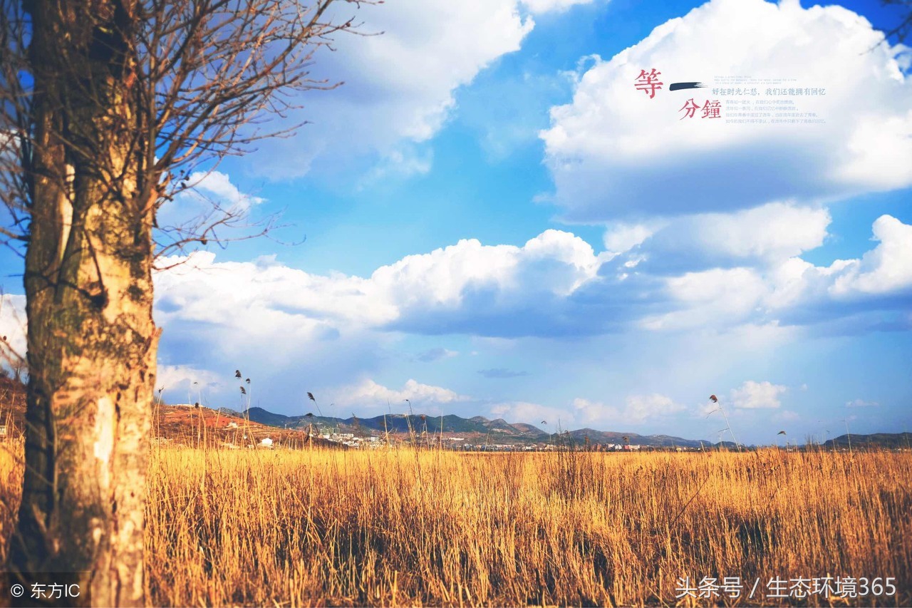 一位环保局领导对环境专业职业发展和机遇探讨……