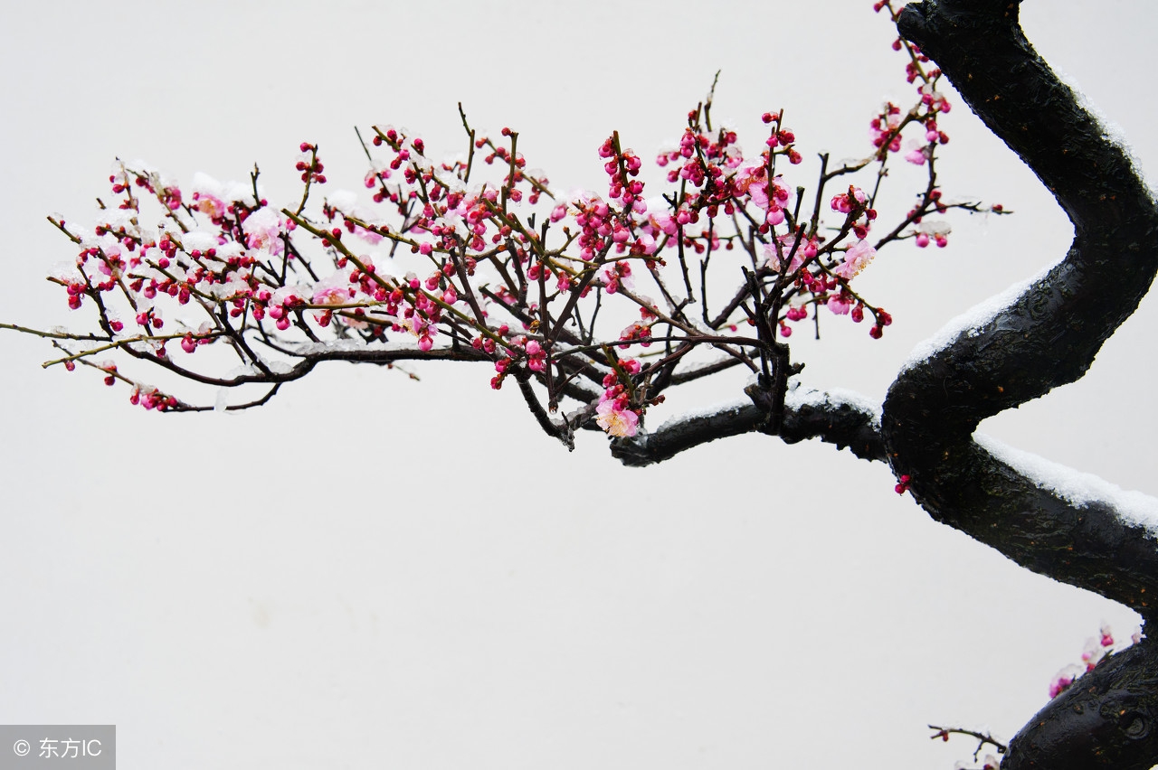 雪人王力宏范晓萱现场完整版,雪人范晓萱王力宏完整版下载