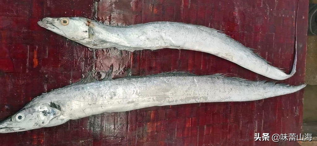 海鲜带鱼吃法,码头带鱼怎么选好吃又实惠