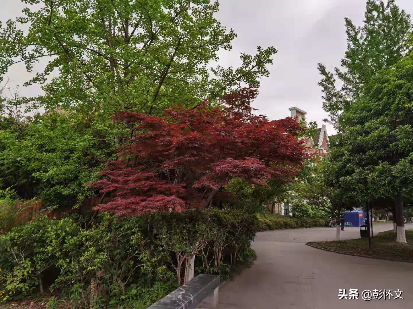 最新财税问题解答问题合集,最新财税知识解答大全