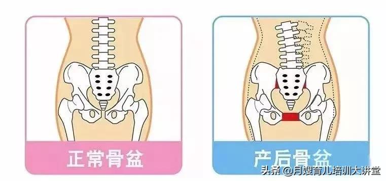 哈尔滨产后修复中心,带大家认识一下您身体的“三大管家”