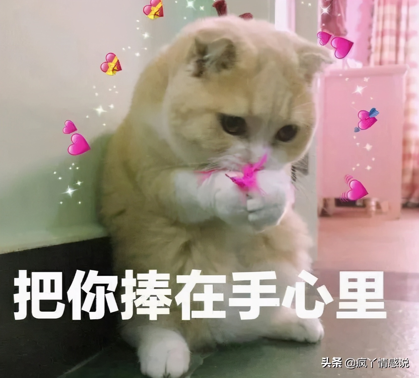 追星文案你出现我眼前,追星马天宇的句子