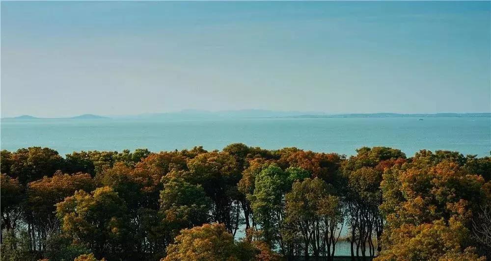 浙江能泡温泉的酒店,浙江最好的温泉酒店