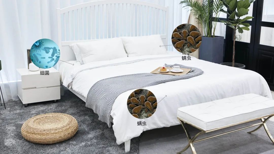 每天睡觉的被窝有多脏呢,床品灰尘清理妙招