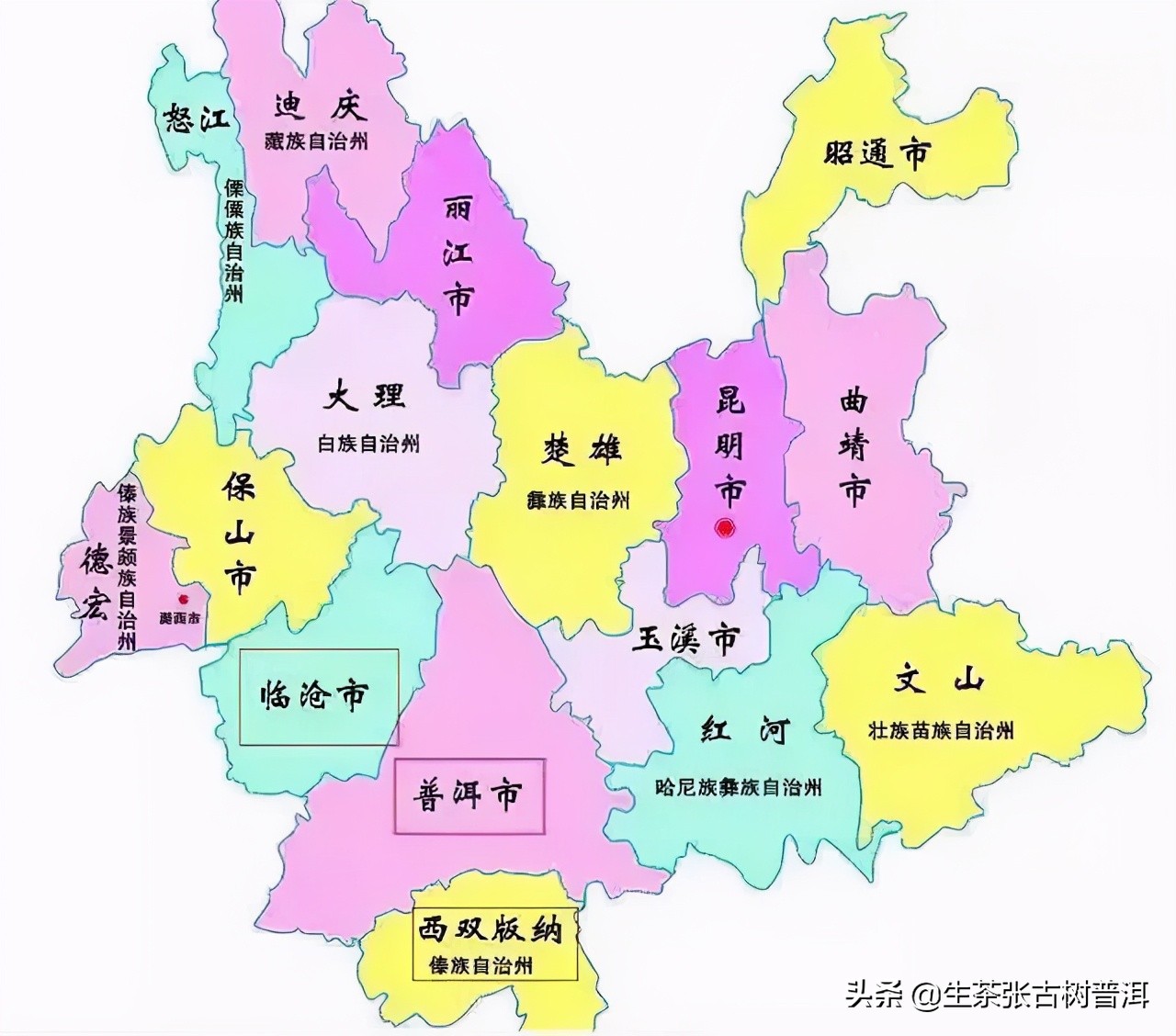 普洱茶应该怎么入门,普洱茶新手入门建议