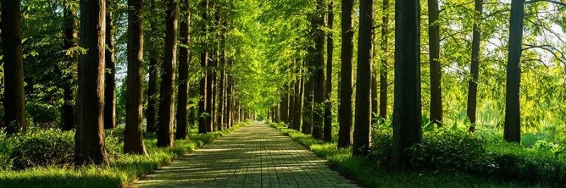 如皋长江镇第一强镇,被低估的王者