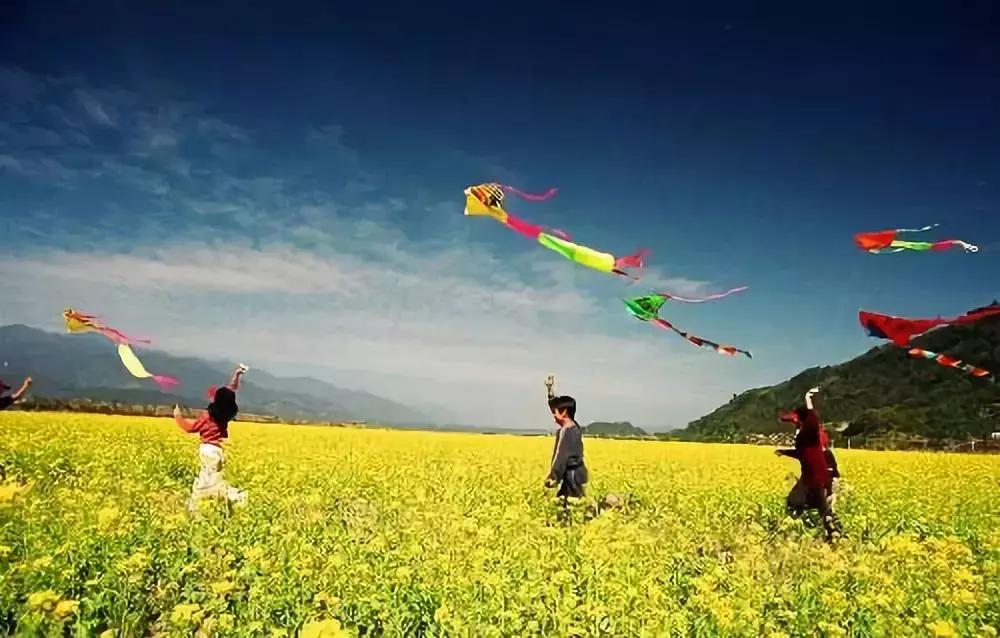 巨型埃及艳后风筝,埃及艳后风筝提线绑法