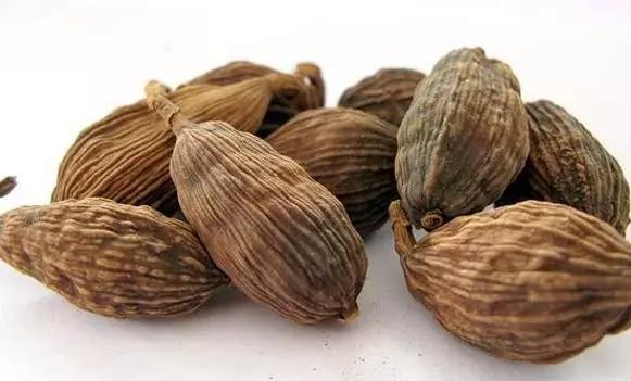 香料植物有哪几种,香料植物与成品解析