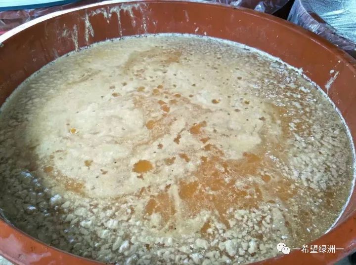 花生麸发酵无渣技术,花生麸无臭发酵方法要哪种红糖