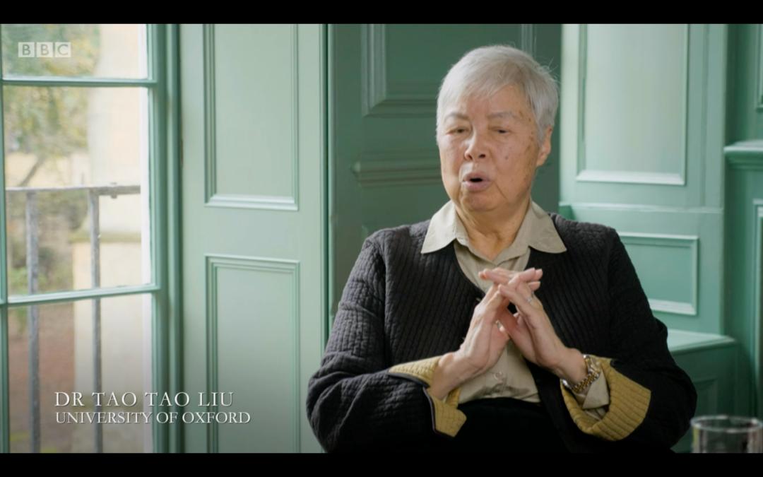 bbc杜甫中国最伟大的诗人内容介绍,bbc杜甫中国最伟大的诗人的解说词