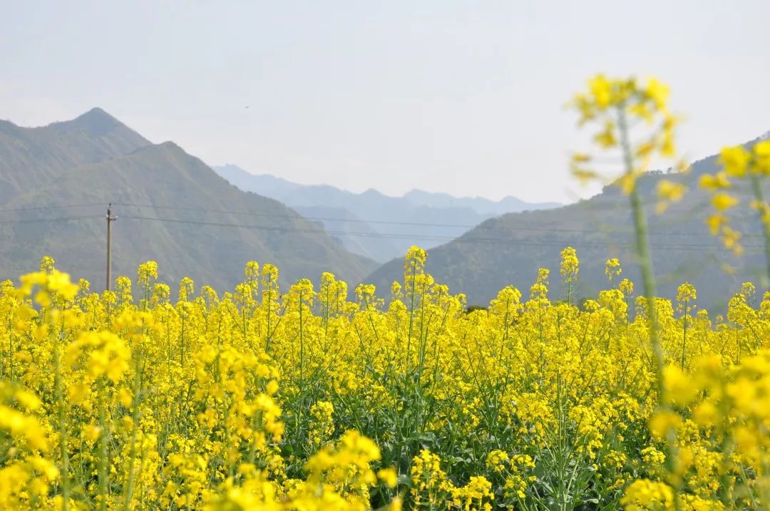 还犹豫啥？楼观处处好*光春**，吃住游玩全搞定！