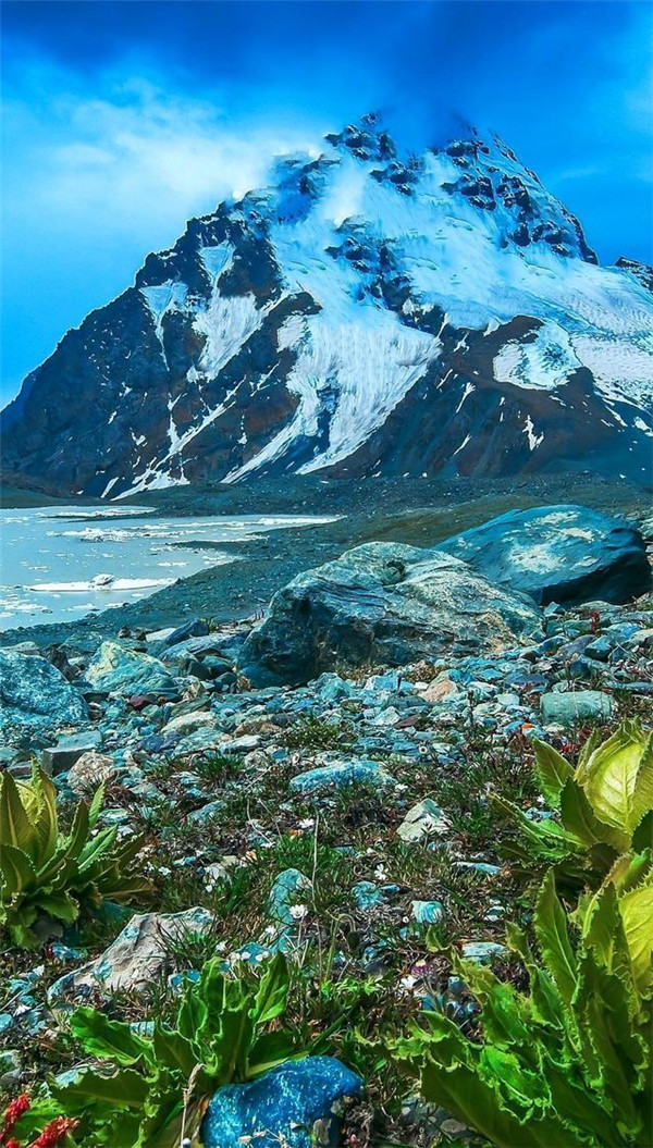 送你一张绝美壁纸,送你一张超美竖屏壁纸