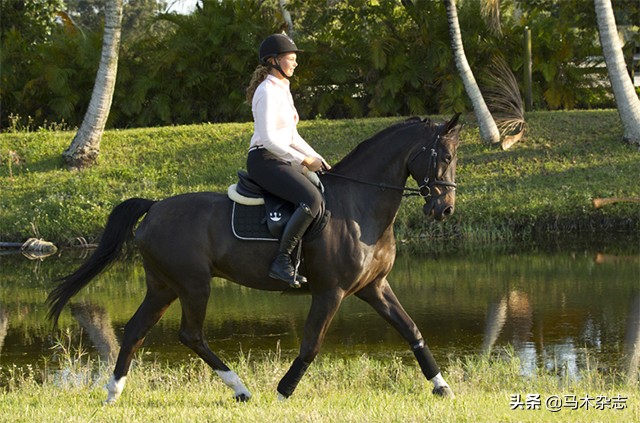 骑马压浪技巧视频教程,骑马如何压马浪
