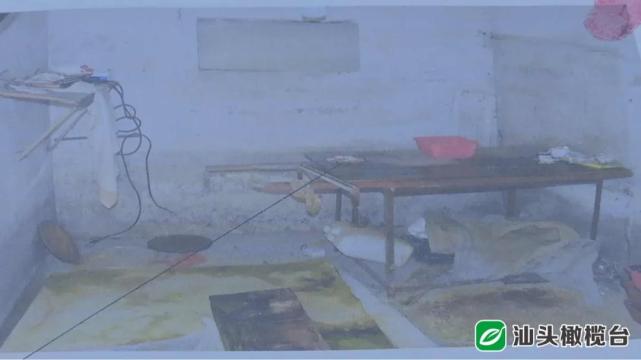 河南的老板在广东汕头澄海玩具厂,汕头澄海莱美工业区群星玩具厂