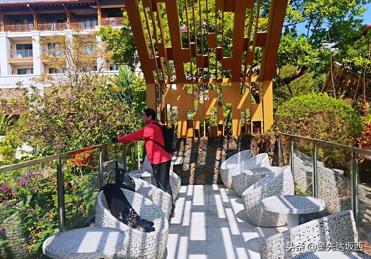 深圳第一个冬天感受,深圳的初秋生活