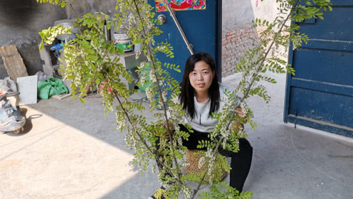 《两元女子宿舍》现象只是个例，无数底层女人忍气吞声、苟活于世