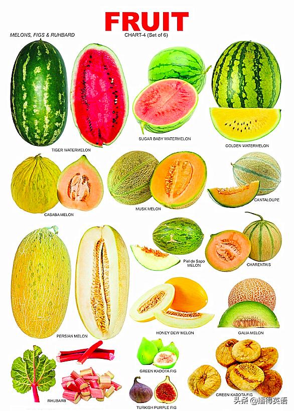 橘子和orange的区别,不是所有橘子都叫orange