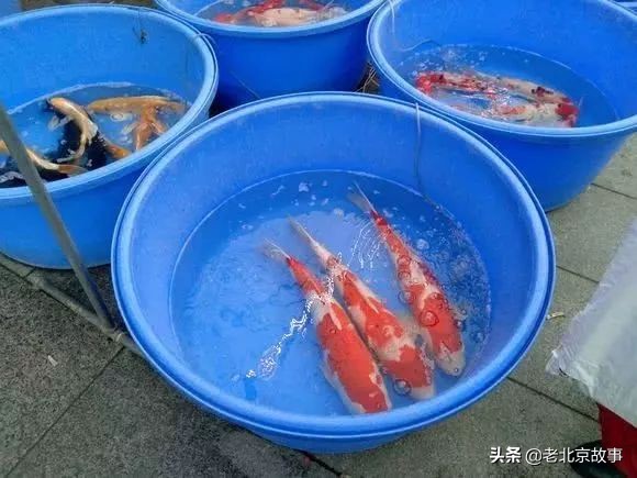 官园拆迁安置房,官园拆迁安置房拿房时间