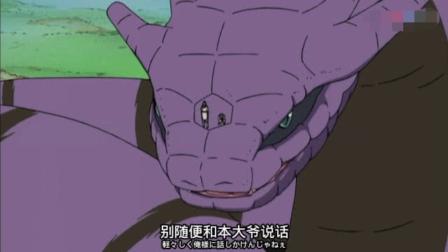 火影通灵兽贝壳和熊猫哪个快,直购通灵兽熊猫加战力吗