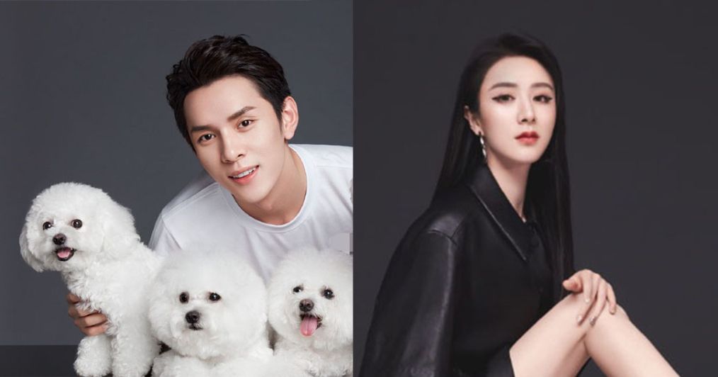 李佳琦一个人战斗,薇娅走上辛巴的路