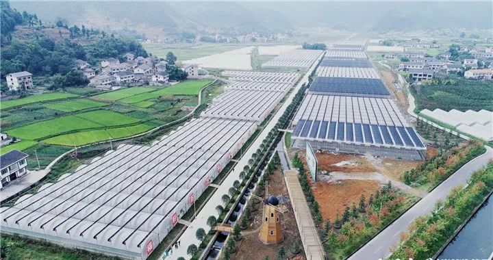 遵义市县区脱贫顺序,遵义的贫困县有哪些