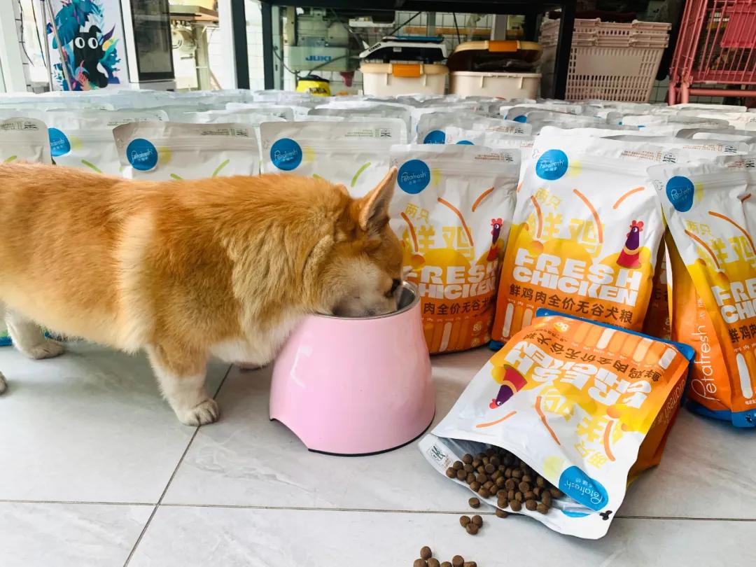 派膳师犬粮,派膳师犬粮10kg