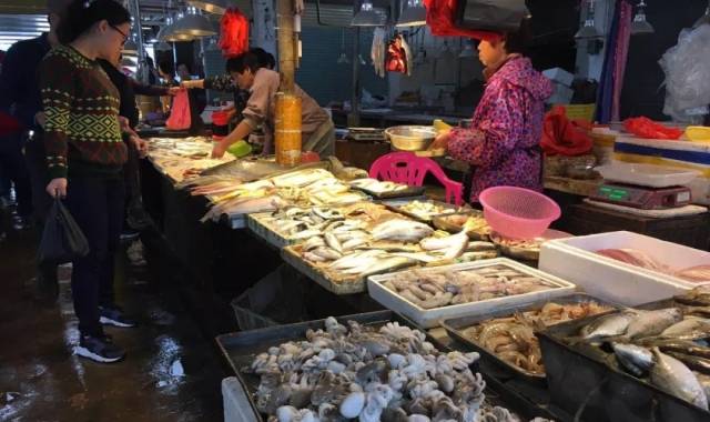 台山那琴湾海边旅游经历,台山那琴海岸线徒步旅行一日游