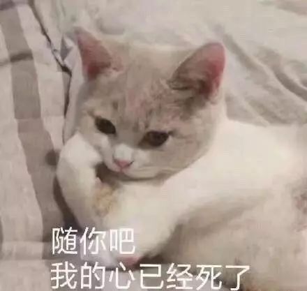 2021年秋冬彩妆新品,秋冬彩妆新品大全